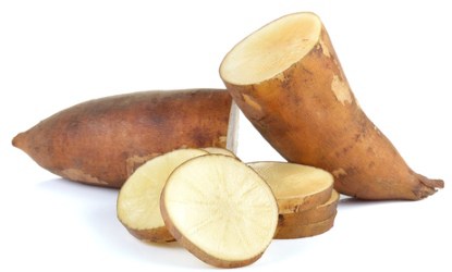 smallanthus sonchifolius on white background